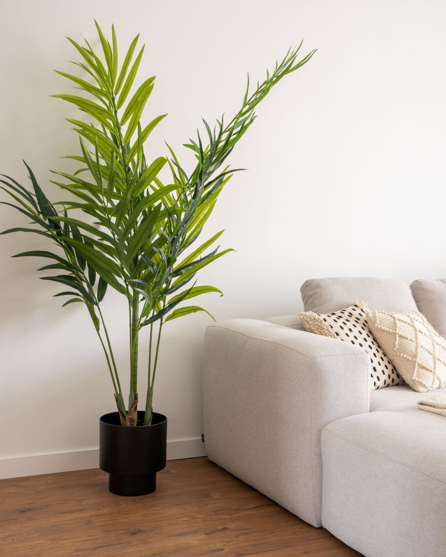 Decoracion Kave Home | Palmera