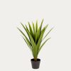 Decoracion Kave Home | Yucca