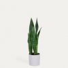 Decoracion Kave Home | Sansevieria