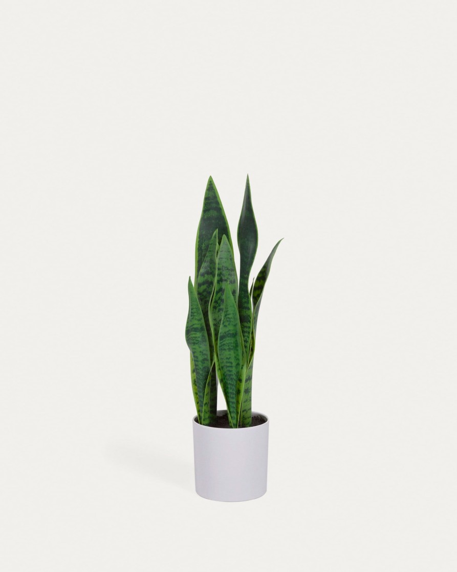 Decoracion Kave Home | Sansevieria