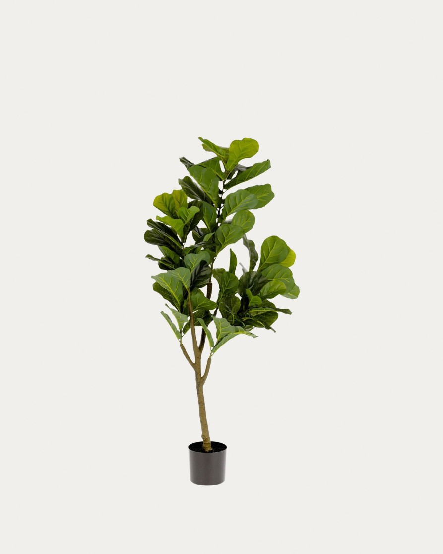 Decoracion Kave Home | Ficus