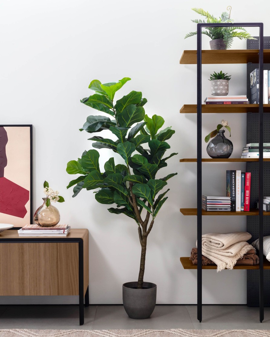 Decoracion Kave Home | Ficus