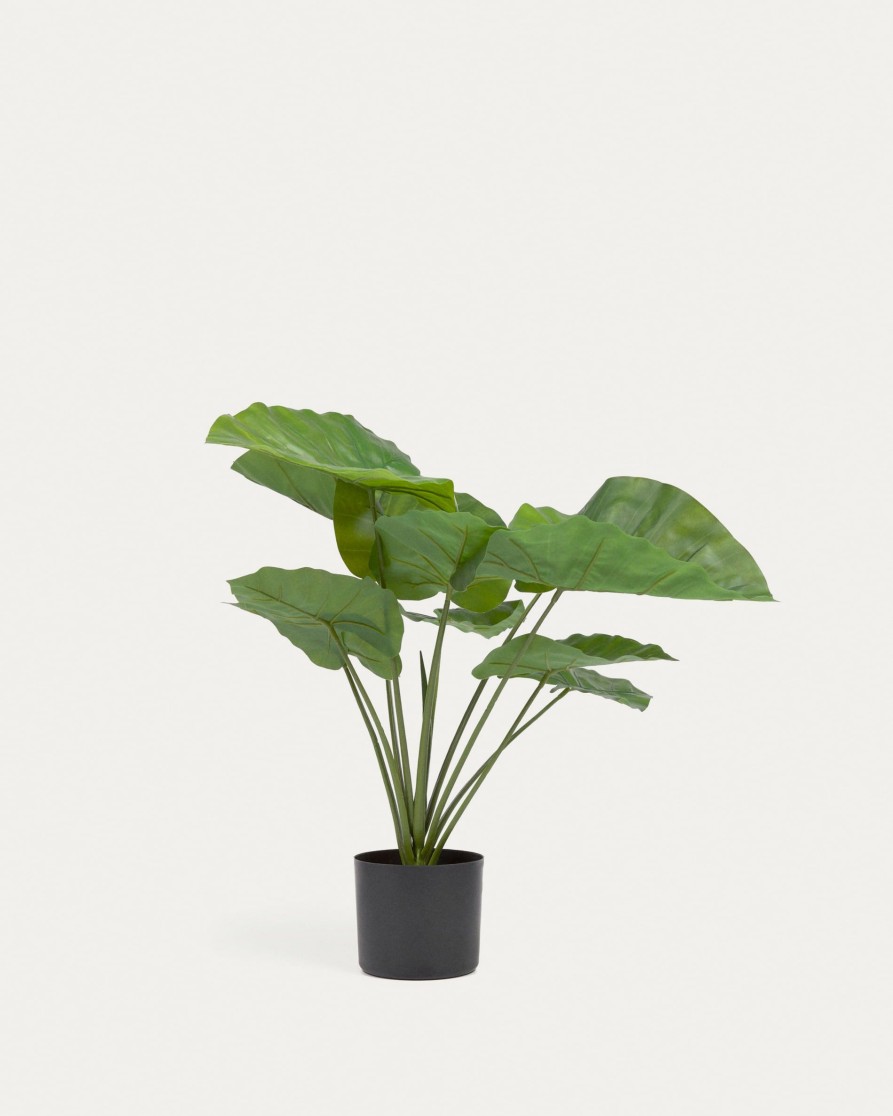 Decoracion Kave Home | Alocasia