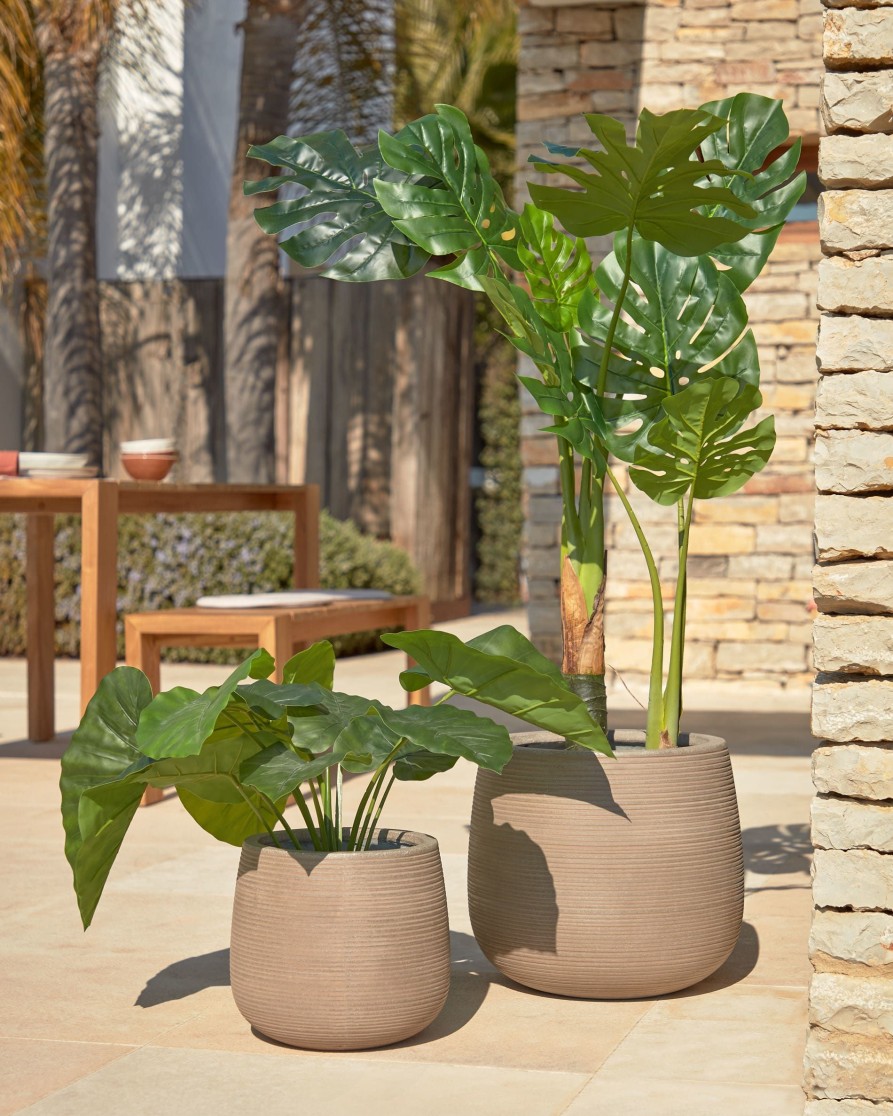 Decoracion Kave Home | Alocasia